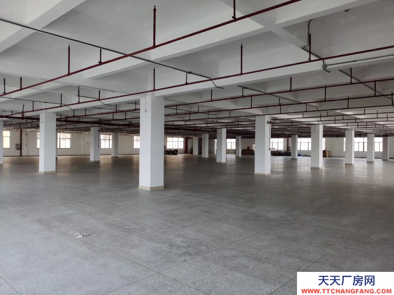 (出租) 汕頭和平鎮(zhèn)廠房一層過3000平方