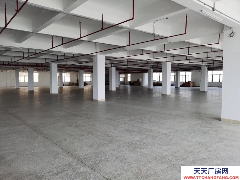 (出租) 汕頭和平鎮(zhèn)廠房一層過3000平方