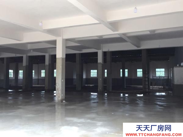 岳陽市汨羅區 汨羅屈子文化園全新廠房出租