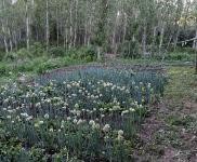 (出售) 房屋證照齊全，交通便利，距離高速口100米左右，新修的水泥路