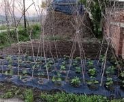 (出售) 房屋證照齊全，交通便利，距離高速口100米左右，新修的水泥路