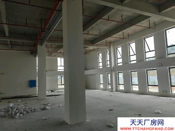 岳陽市云溪區 個人廠房，適合小型加工，可出租400-500平方，