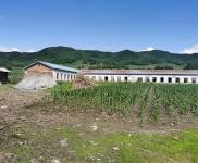 (出售) 低價出售，出租蛟河市慶嶺鎮靠江村小學廠房出租出售