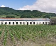 (出售) 低價出售，出租蛟河市慶嶺鎮靠江村小學廠房出租出售