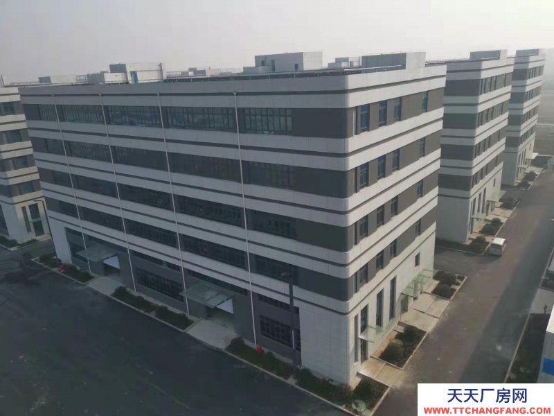 濱州沾化租售 濱州沾化城區 5000平標準廠房 3年免租金 可環評