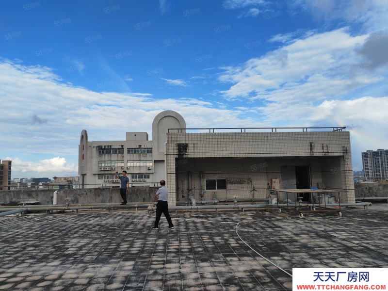 (出租) 汕頭潮汕路邊20畝三面路鋪面辦公倉庫13474平總租分租均可