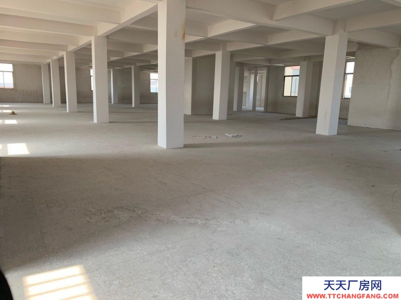 (出租) 汕頭直租鮀浦新獨立倉庫首層高5.6米三層2700平方