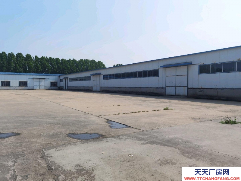 濱州博興新建廠房，面積有500-1000-2000平米