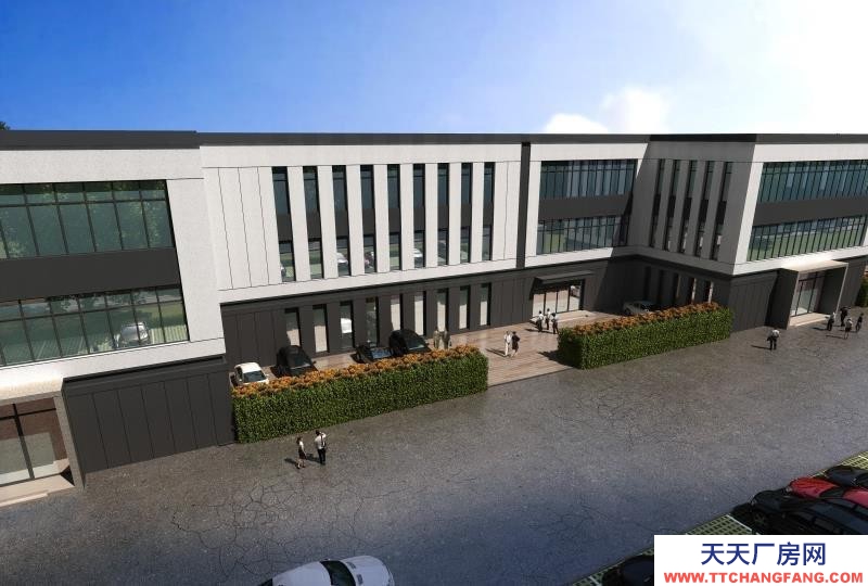 濱州博興單層11米的工業廠房沿高10米