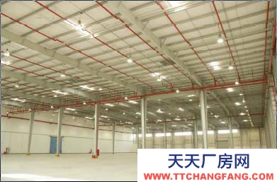 (出租) 廣東汕頭市金鴻公路大型高標倉庫出租