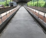 (出租) 倉庫、廠房、養(yǎng)牛棚出租