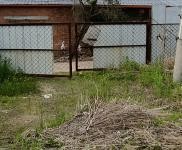 (出租) 舒蘭大街舒北一路舒蘭市煙草專賣局后面，面積1000余平米。