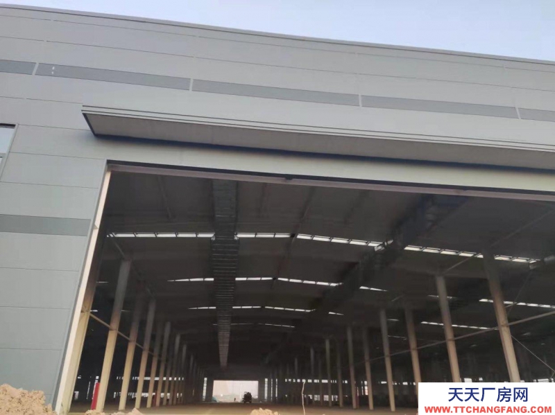 濱州博興單層花園式廠房 層高11米 有獨立的辦公室