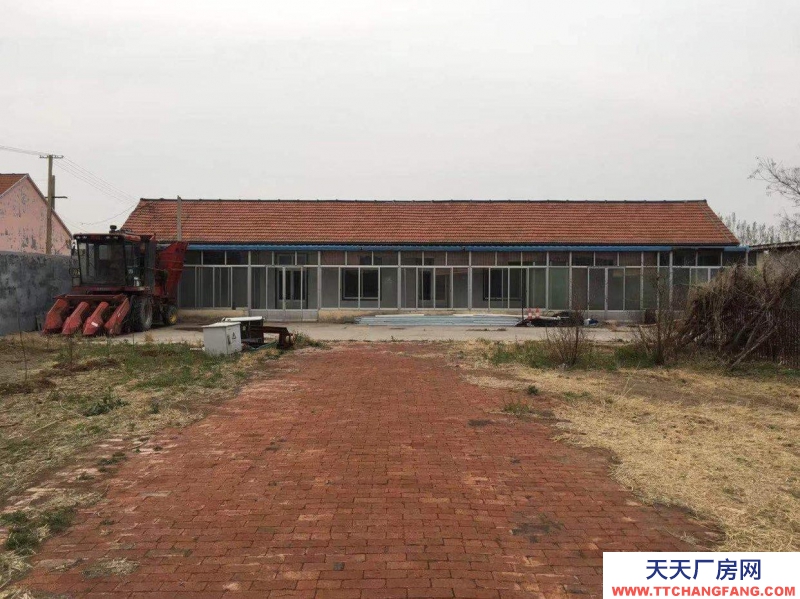 濱州博興縣呂藝鎮，農家小院出租或轉讓