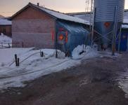 (出售)舒蘭 養雞場出售、轉讓，占地面積6000平