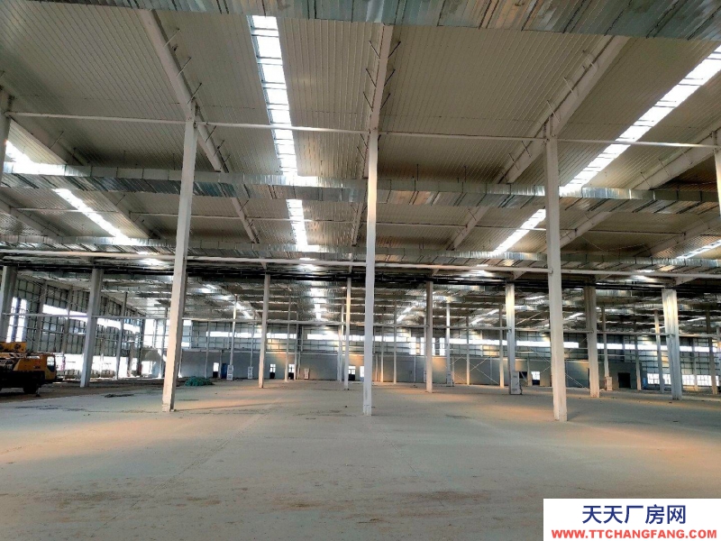 濱州鄒平單一層廠房層高11米，獨立辦公室