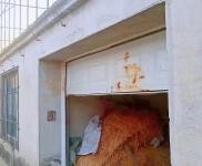 (出售) 鐵西價(jià)格面議；有房照；出售外環(huán)勤業(yè)三隊(duì)小二層1000平房子；