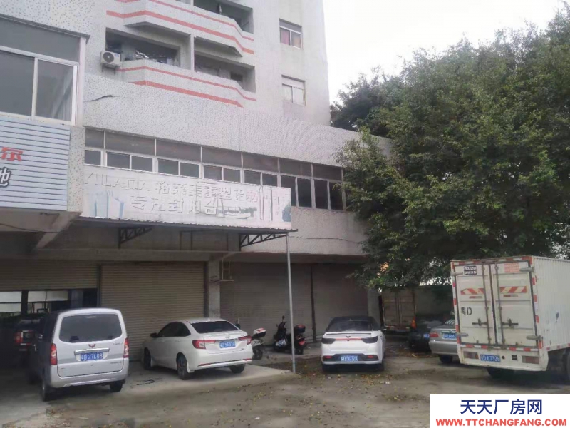 (出租) 汕頭濠江城區(qū)臨街倉庫廠房辦公宿舍