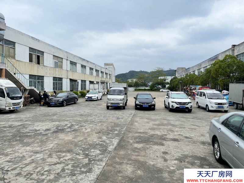 (出租) 汕頭濠江倉庫內(nèi)有超大停車場