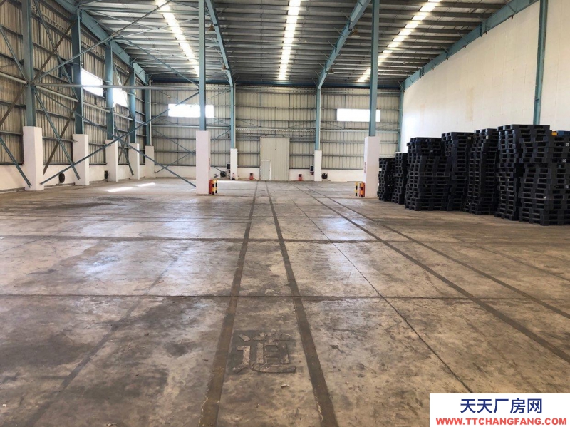 (出租) 汕頭國企倉庫，距離廣澳碼頭4公里