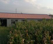 (出租) 出租四平鐵西太平溝七隊 農村大院