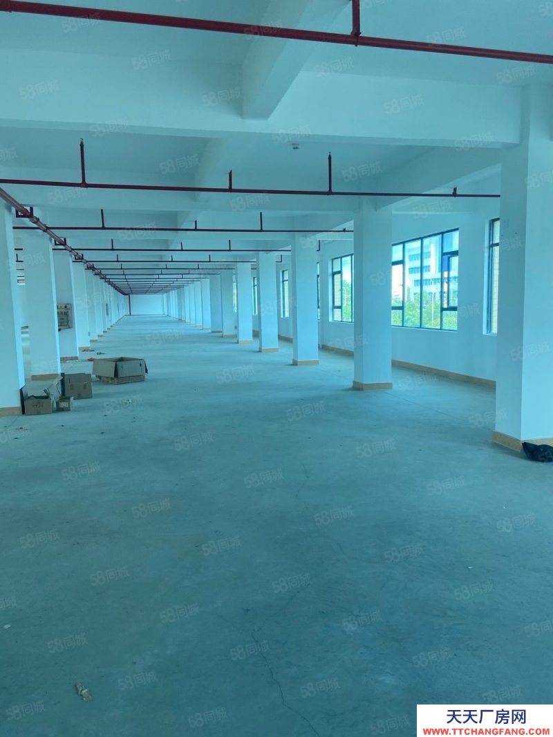 (出售) 高新區4樓2700平方正歸廠房平方5500元.