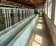 (出售) 鐵東有三項電水井位置四平市鐵東區永樂村