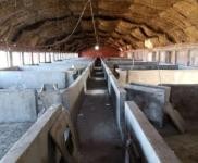 (出租) 梨樹(shù)大型養(yǎng)殖場(chǎng)出租 出售