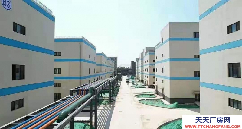 萊蕪省級(jí)化工園區(qū)高標(biāo)準(zhǔn)廠房