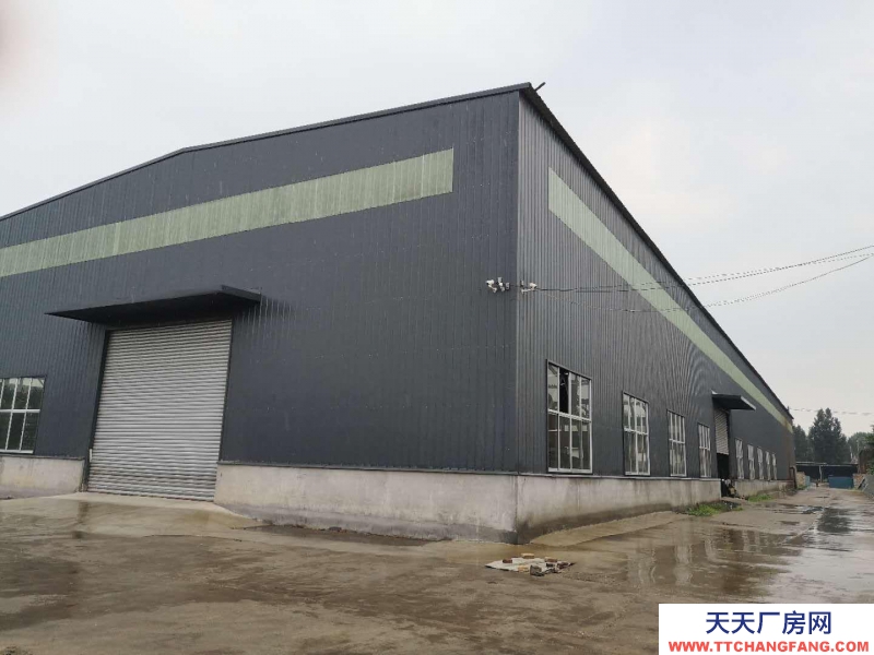 原萊蕪硫酸廠內新建廠房2000平米，廠房可以分割。