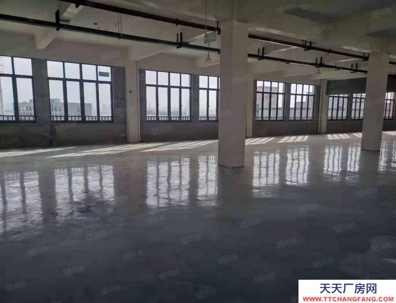 湖州吳興(出租) 房東直租880平標(biāo)準(zhǔn)廠房出租
