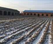 (出售) 西安占地面積約3000多平方米