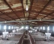 (出租) 東豐占地三萬平,有多間育豬廠房自動化設備,大片空地!