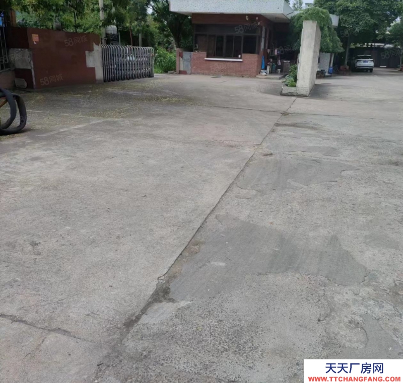 湖州吳興(出租) 房東直租1000平廠房出租埭溪鎮(zhèn)