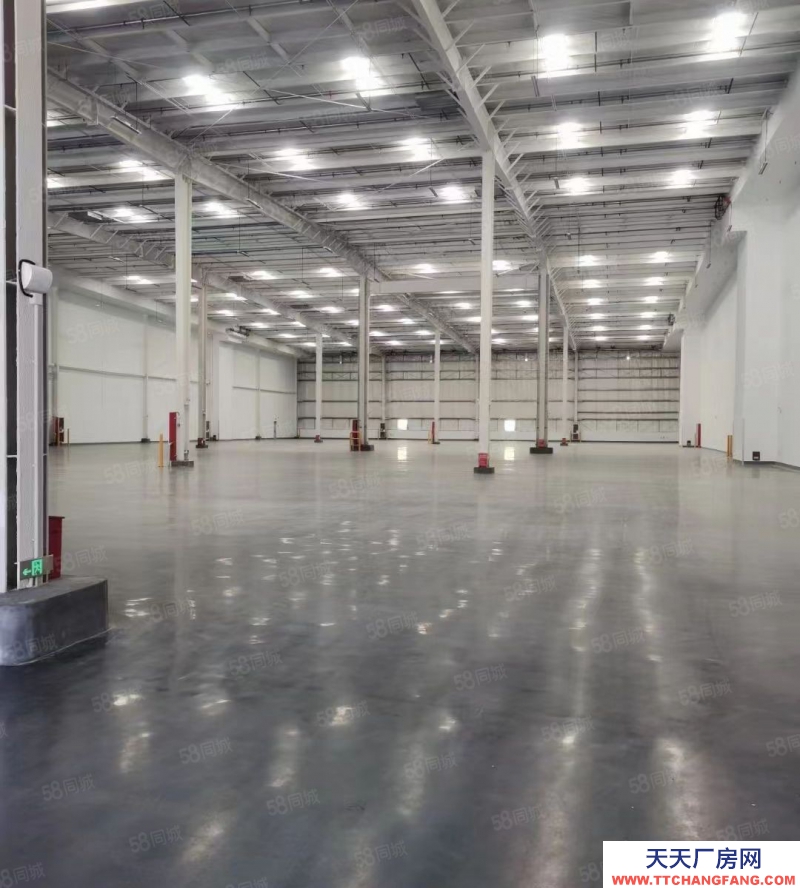 湖州吳興(出租) 南潯可定制倉100000平物流園年初啟用