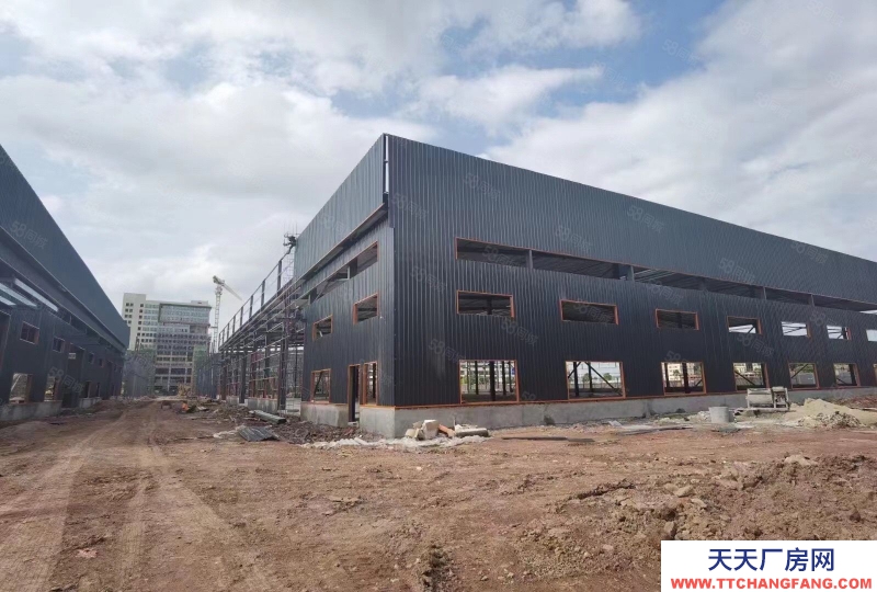 (出租) 江門蓬江新高端工業(yè)廠房出租