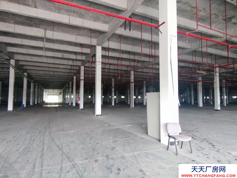 (出租) 江門蓬江珠西化工園內，1萬方化工園招租，配置消防設施和污水處理池