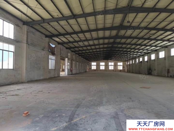 (出租) 江門龍眠工業區，磚墻到頂，滴水8米，1550平方簡易廠房