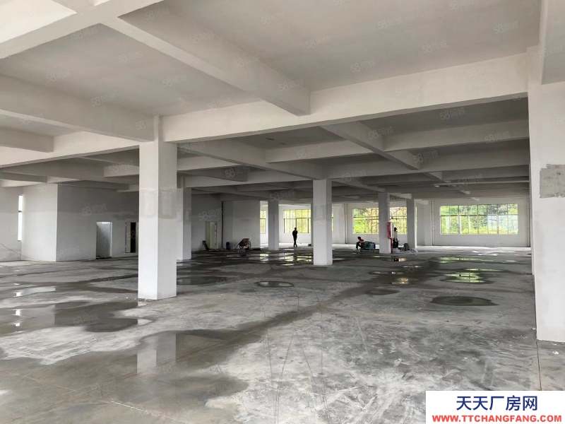 (出租) 江門可辦環評荷塘西江大橋，獨門獨院，全新4800平方標準廠