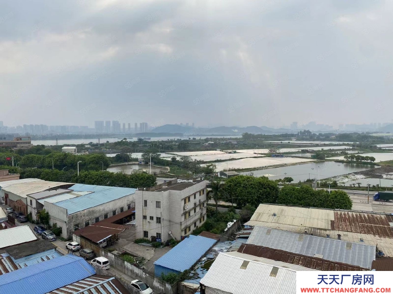 (出租) 江門可辦環(huán)評(píng)荷塘西江大橋，獨(dú)門獨(dú)院，全新4800平方標(biāo)準(zhǔn)廠