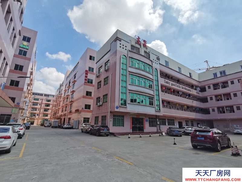 (出租) 江門江海高新區高新西路大型工業園出租三樓精裝整層3900平方可分