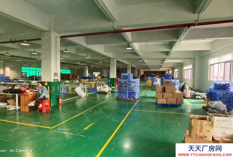 (出租) 江門江海高新區龍溪路樓上5000平米豪華裝修廠房出租兩層可以分租