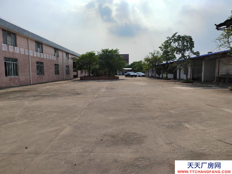 (出租) 江門臺山水步鎮獨院單一層廠房倉庫6000，空地3000出租