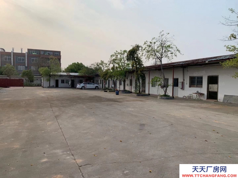 (出租) 江門臺山水步鎮(zhèn)獨院單一層廠房倉庫6000,空地3000出租