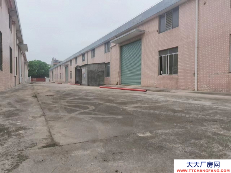 (出租) 江門水步7000方單一層磚墻到頂空地大廠房出租