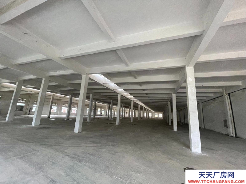 (出租) 江門開平塔山開元工業區三類工業有排污指標廠房倉庫16000方出租