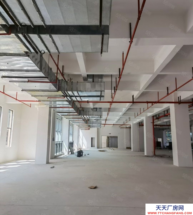 (出租) 江門鶴山市鶴城鎮(zhèn)325國道邊獨院花園式45000平方廠房出租