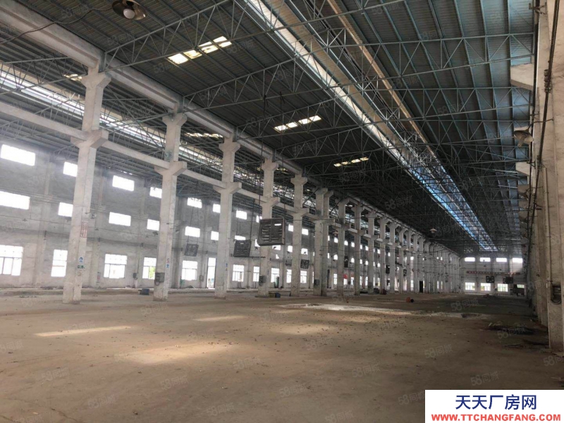 (出租) 江門鶴山市沙坪鎮(zhèn)南工業(yè)城獨院單一層出租（可分租）