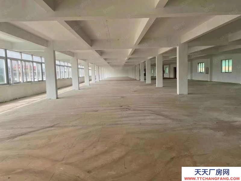 (出租) 江門鶴山雅瑤獨院廠房水泥結(jié)構(gòu)10元！