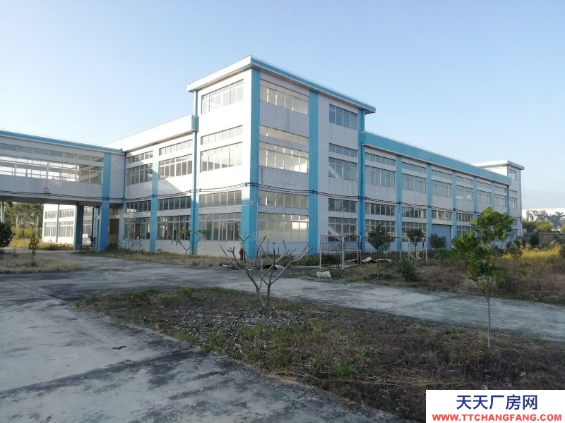 (出租) 江門恩平大量廠房倉庫工業用地商服用地招租